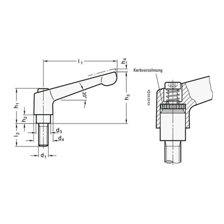 GANTER Regulowana dźwignia zaciskowa GN 300 d1 M 10 mm ( 4601000578 )