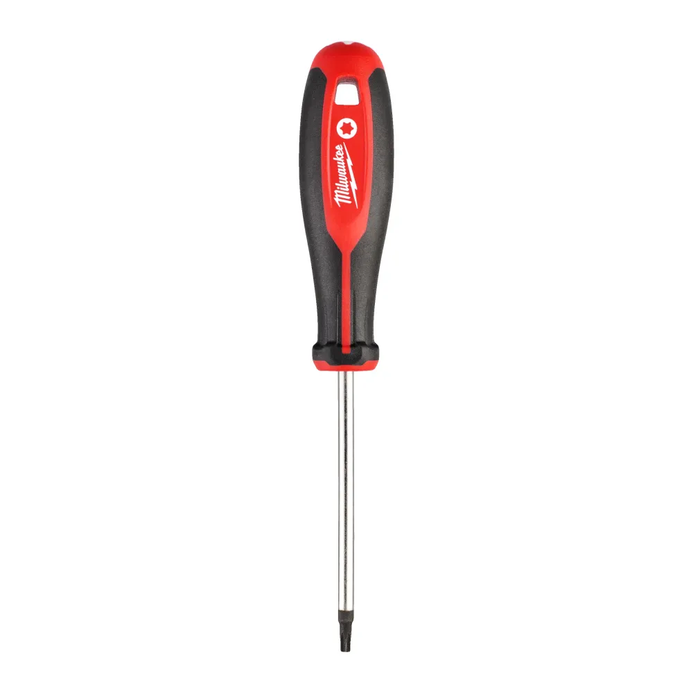 Wkrętak TORX T 25x100 | 4932471802