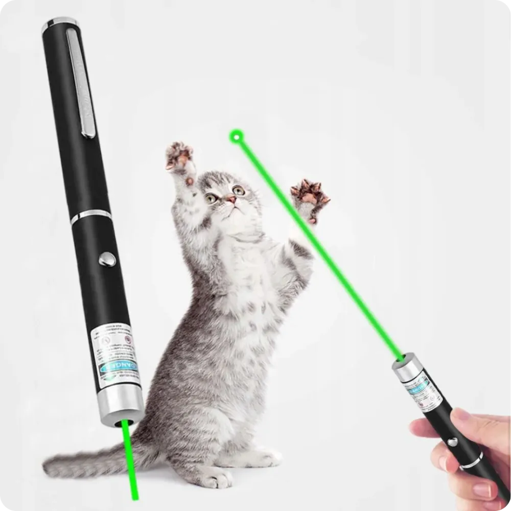 Wskaźnik laserowy zielony PT0008-2