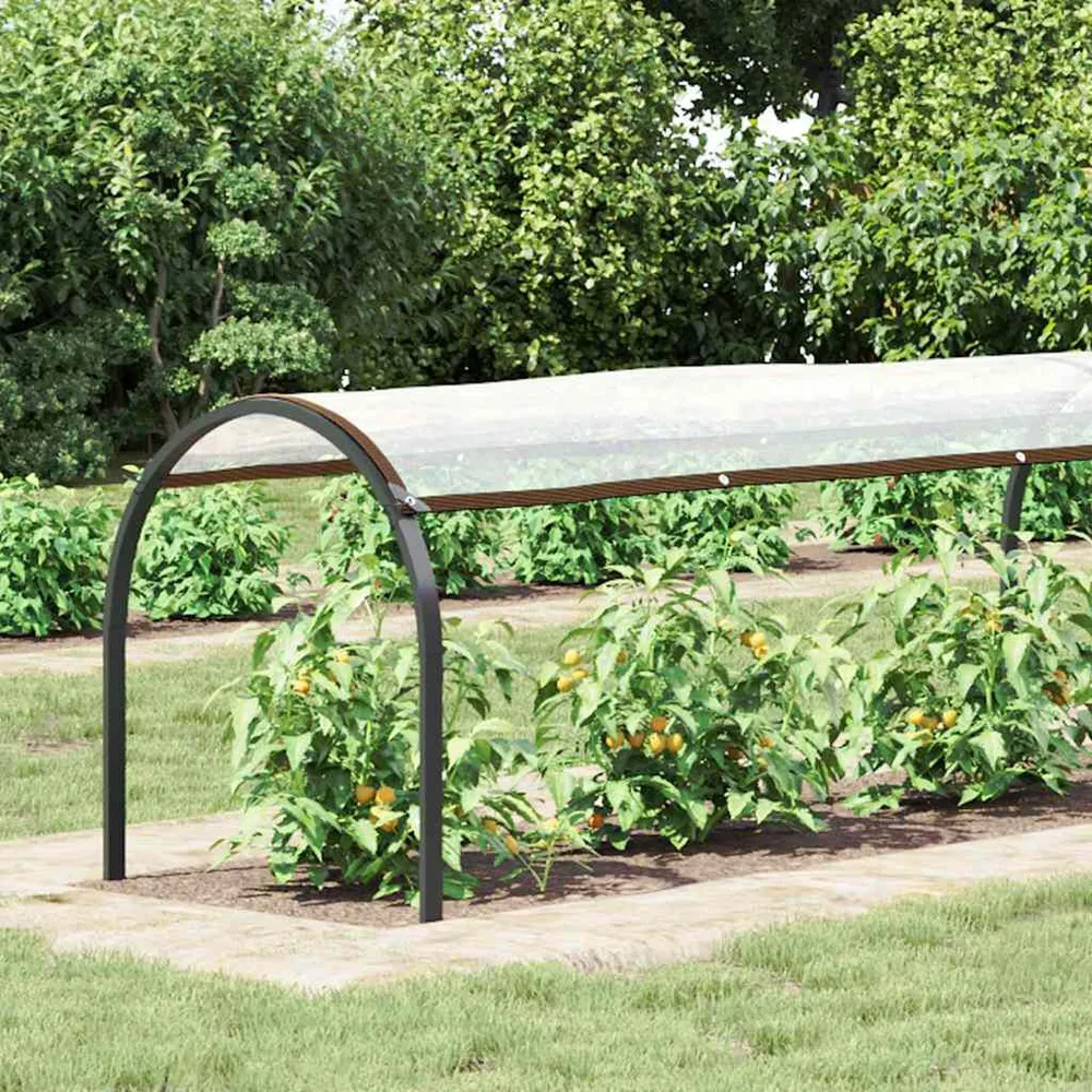 Przezroczysta plandeka z oczkami 1x10 m Polietylen
